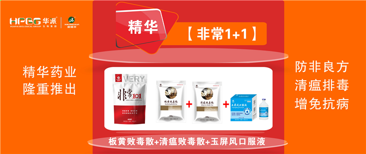 ���գ������������ش�ʩ |������1+1����������, �����Ŷ������⿹�����ӿ������������!