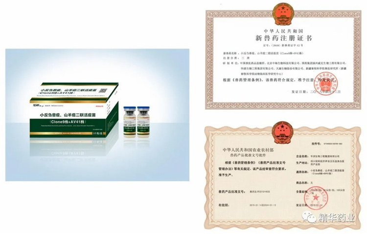 1751448266439714 8.jpg