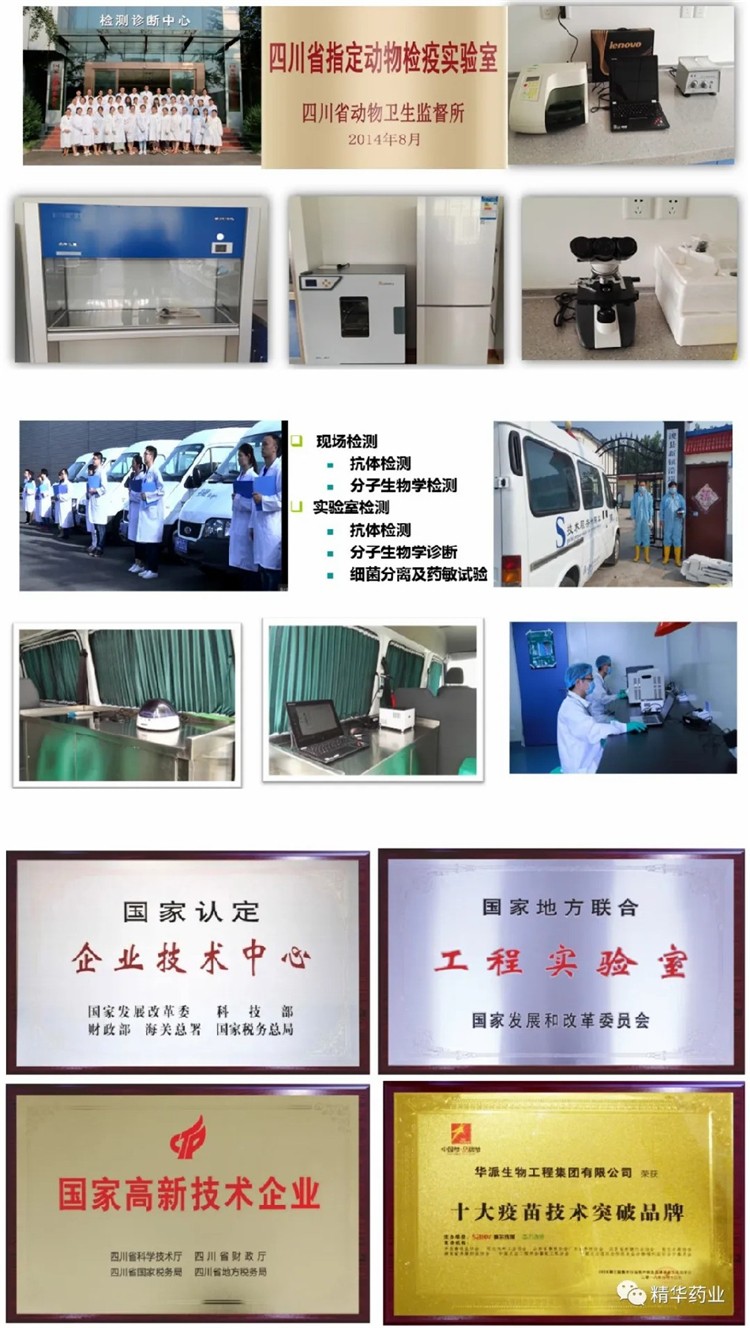 1751448350425482 1751448350425482.jpg